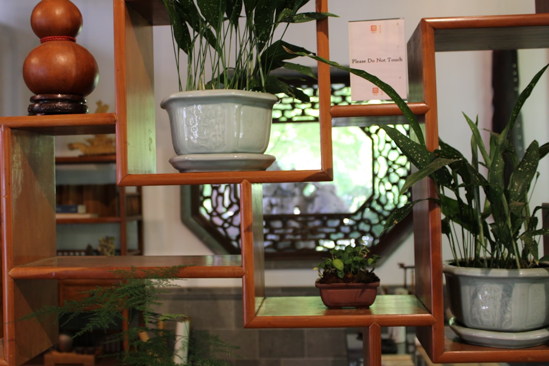wooden shelf display