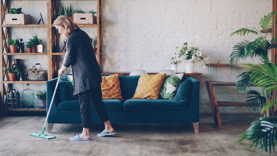 living room cleaning organization