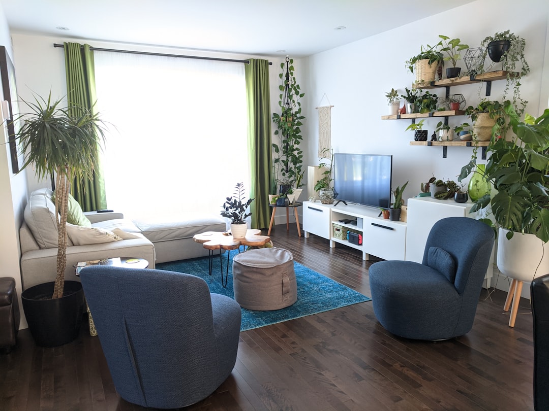living room potted plants